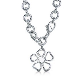 Tiffany&Co Necklaces 96